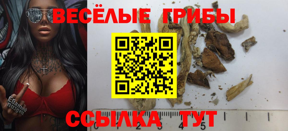Псилоцибиновые грибы MAGIC MUSHROOMS  Вход с VPN  Надым  Псилоцибиновые грибы MAGIC MUSHROOMS 