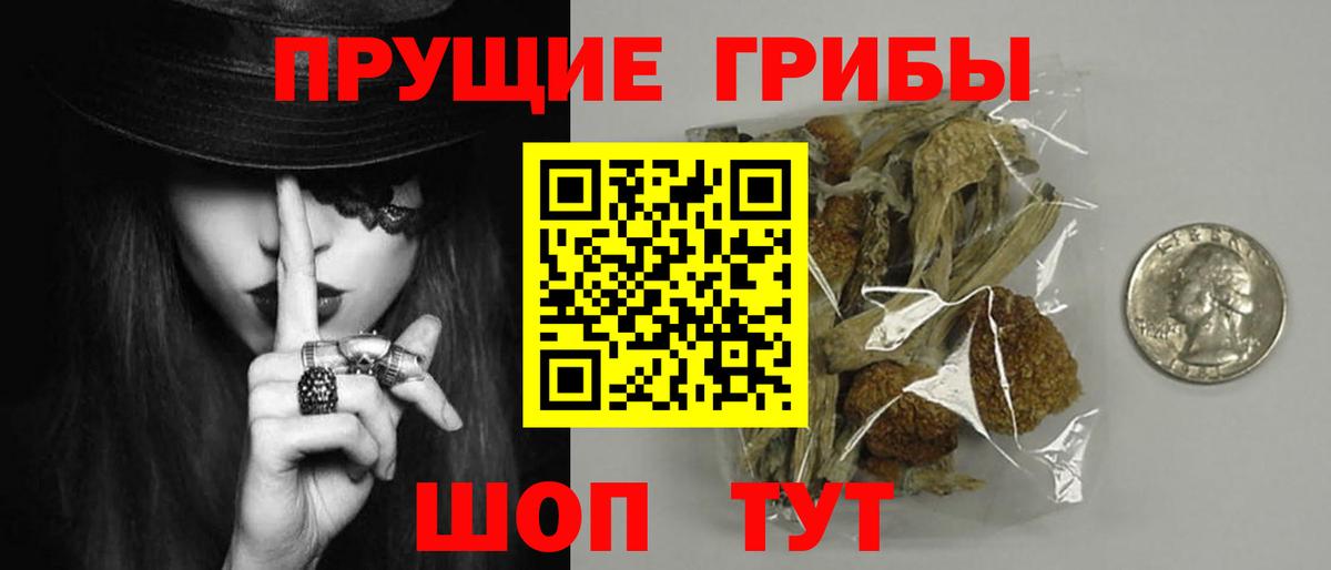 Галлюциногенные грибы Psilocybine cubensis Надым